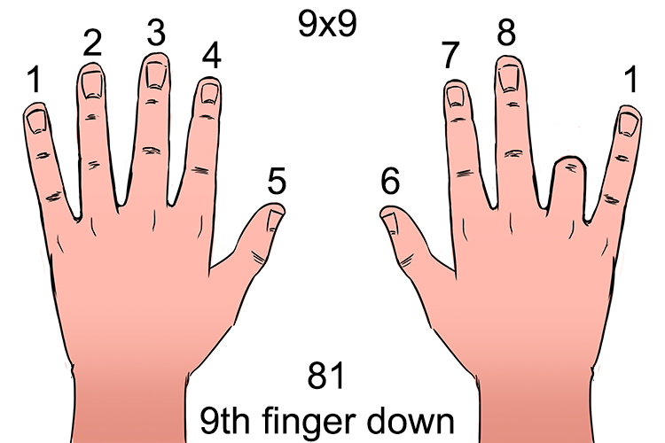 The 9th finger bent down would give 81
